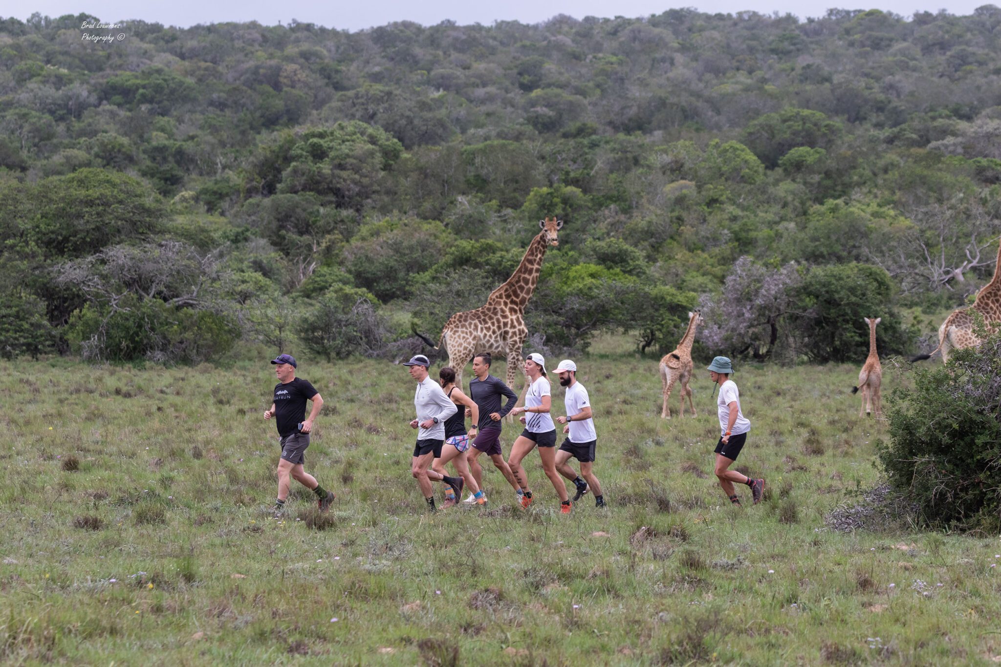 How You Can Run To Help Create A Mega Reserve – Rhino & Restoration Challenge