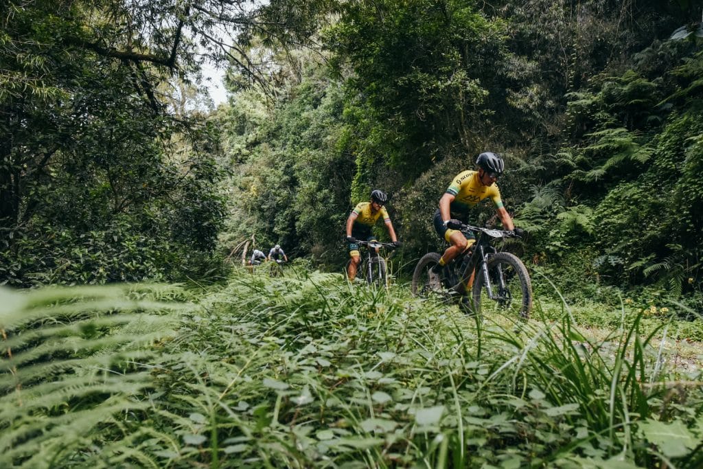 Insect Science Charge Hard On Day 1 Of Sani2C