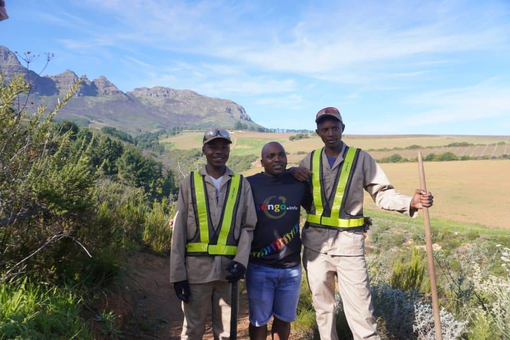 Limited Edition Specialized Bikes For Auction With Soil Searching And Songo.info