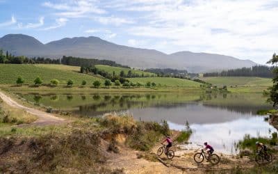 2023 FNB Wines2Whales SwitchBack Route Overview