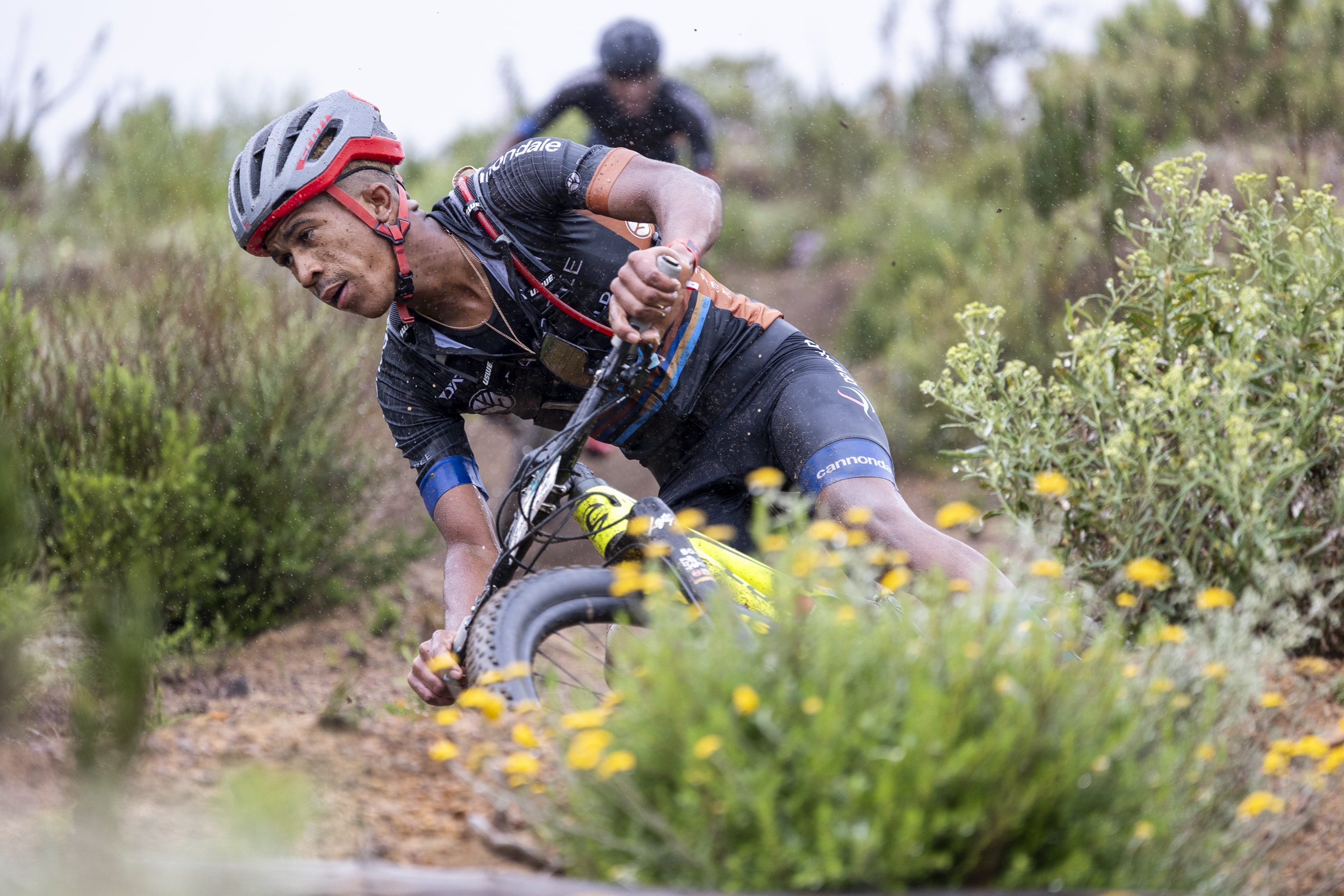 FNB Wines2Whales Chardonnay