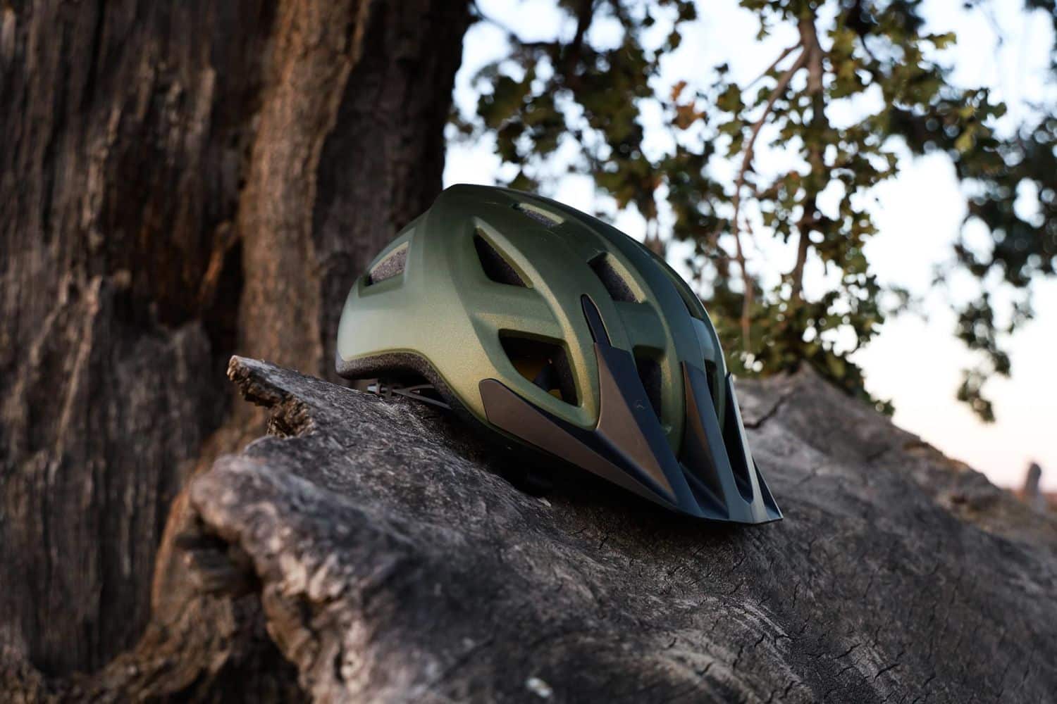 Giant Path Mips Helmet